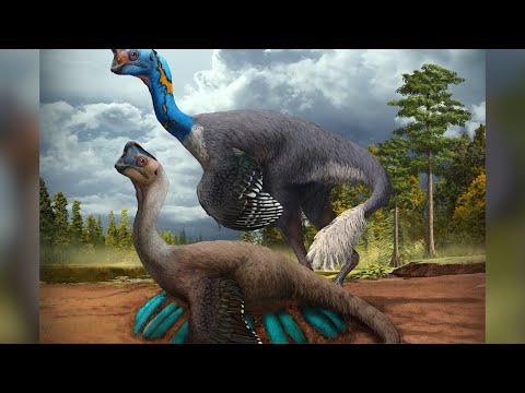 Scientists Discover Rare Dinosaur Fossil Sitting on a Dozen Eggs