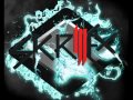 Skrillex- Drop the Bass 