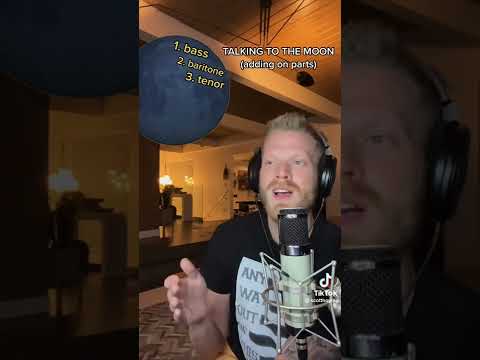 PTX TikToks: Scott Hoying "Talking to the Moon" looping cover
