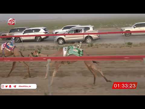 ش 7 (هزر) لـ ناصر سالم سليمان الدوحاني 3:03 , تمهيدي مهرجان العين 2026/07/03 فطامين سويحان