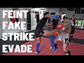 How to Feint, Fake, Strike & Evade