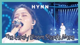[HOT] HYNN - The Lonely Bloom Stands Alone , 박혜원 -  시  든 꽃에 물을 주듯 Music core 20190413