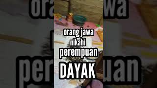 Download lagu NASIB ORANG JAWA NIKAHI PEREMPUAN DAYAK#dayakborneo#dayak#viralshorts #fyp#viral#sukudayak#kaltim mp3 Download lagu NASIB ORANG JAWA NIKAHI PEREMPUAN DAYAK#dayakborneo#dayak#viralshorts #fyp#viral#sukudayak#kaltim mp3
