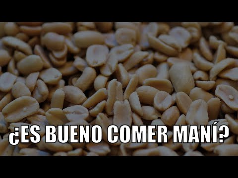 ¿Es saludable comer MANÍ? - Doctor Bayter