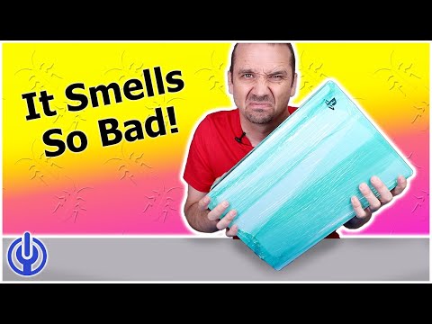 I Bought a PS5 on eBay - It Was Infested With ROACHES and BROKEN