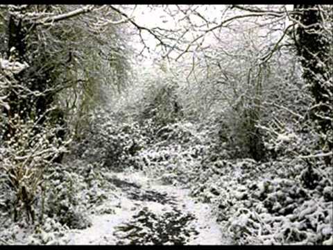 Adrian Bower Band: Seasons End