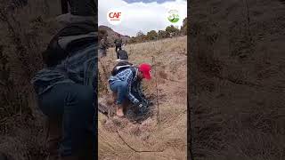¡Voluntariado en el Páramo de Sumapaz!