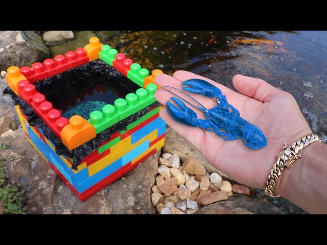 MINI LEGO Pond For My Rare Blue Lobster!