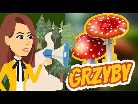 EduKredka  - Grzyby  (sezon2023) #26