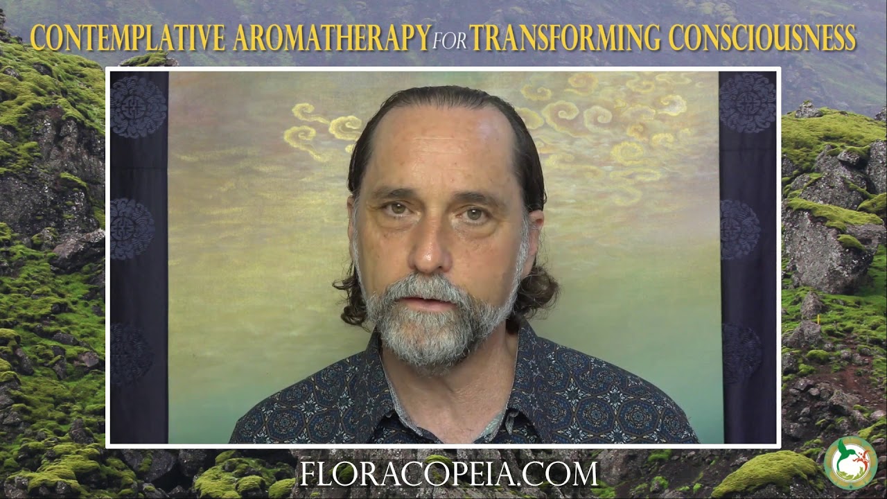 Eucalyptus Essential Oil for Deepening Gratitude with David Crow. L.Ac. - YouTube