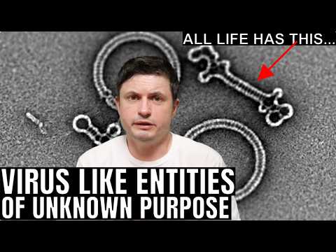 Virus Like Entities That We Never Knew Existed Until Recently