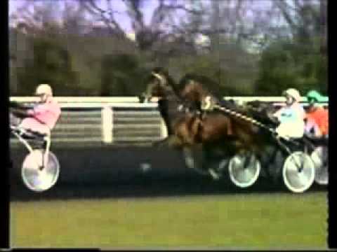 Prix de Paris 1998 -Dream With Me