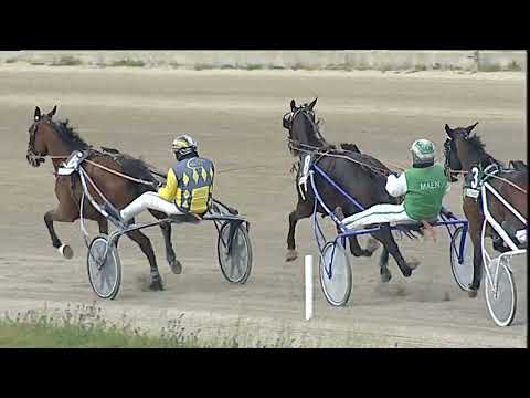 Napoli Trotto 10/04/2023 - 5ª corsa