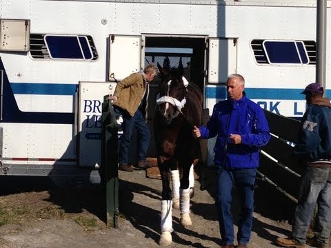 Verrazano and Discreet Dancer Arrive in NY for Wood Memorial and Carter Handicap