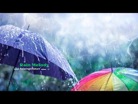 More Calm When Immersing in Balcony Ambience with Heavy Rain | Rain Melody #rainsounds, #Balcony
