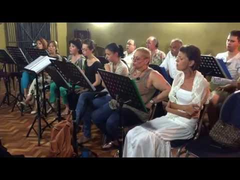 Corul CATEDRALA - Heruvicul Nr. 1 - D. Alexandrescu - biserica Sfânta Maria 15 August 2015