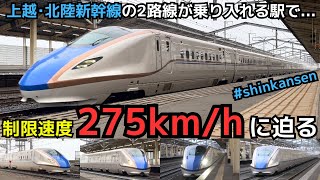 【制限速度に迫る新幹線】上越・北陸新幹線E7系・W7系の制限速度275km/hに迫る高速通過（一部速度付き）　#shinkansen　#kumagaya