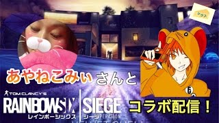 [FPS]窮鼠猫を噛む気持ちでレインボーシックスシージ～あやねこみぃさんとコラボ配信～