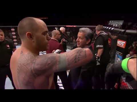 Travis Browne vs Gabriel Gonzaga full fight