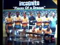 INCOGNITO --- STEP INTO MY LIFE