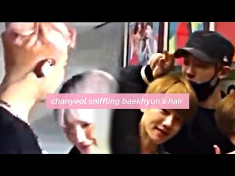 chanyeol sniffling baekhyun's hair | chanbaek analysis
