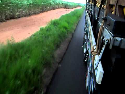 elite paraguaçuense {2}