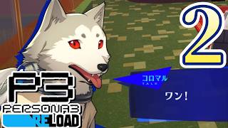 【#10】タヒへのカウントダウンは生まれた時から始まっているのだ(by コロマル)【P3R】【ペルソナ3リロード】【#完全初見】【ネタバレ有り】【作業配信】【睡眠導入】©ATLUS ©SEGA