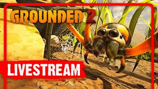 32yr OLD MAN SCARED OF SPIDERS! 🔴 LIVE Grounded 2 GRIND!