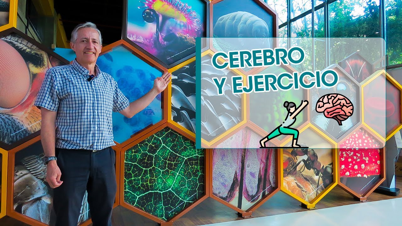 Gustavo Tovar Mojica-27