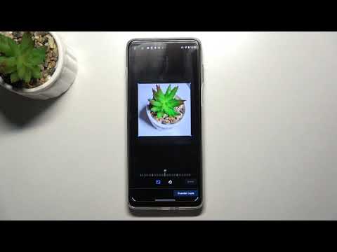 Cómo poner una FOTO al contacto en MOTOROLA Moto G100