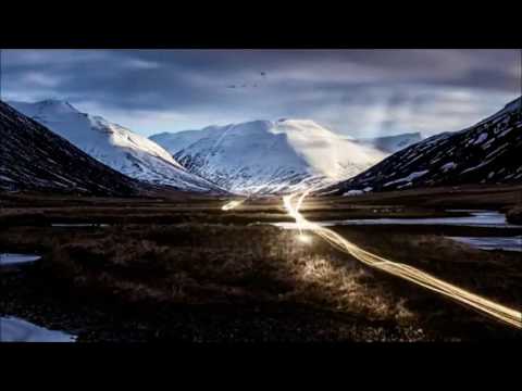 Synthatiger - Starfighter