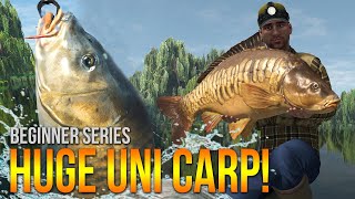 [Lvl.50] Weeping Willows UNIQUE Carp! Method Leads &amp; More! | Fishing Planet