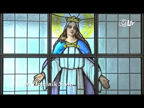 Katolički kalendar 6.5.2016. - Sveti Dominik Savio