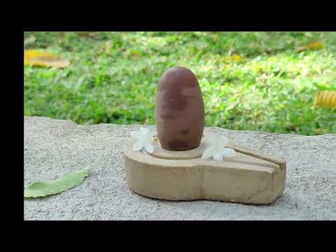 Red Tilak Narmada Shivling with Yonibase video