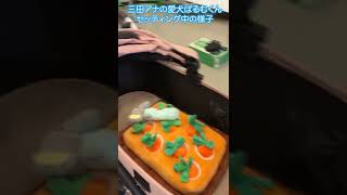 【オフショット】三田友梨佳アナ② #shorts