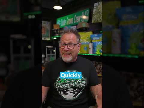 Should You Be Topping Your Plants?🫵