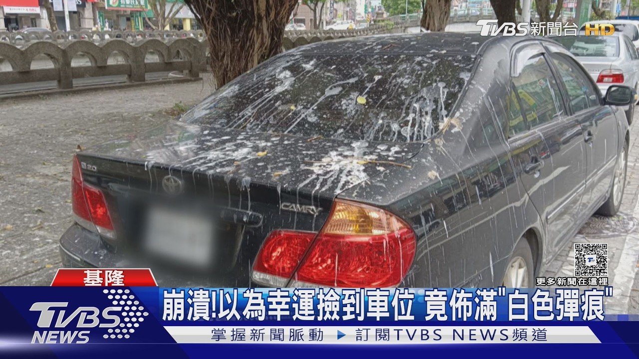 影音/「鳥糞空襲」警報發布! 基隆仁一路段塗銷14停車格