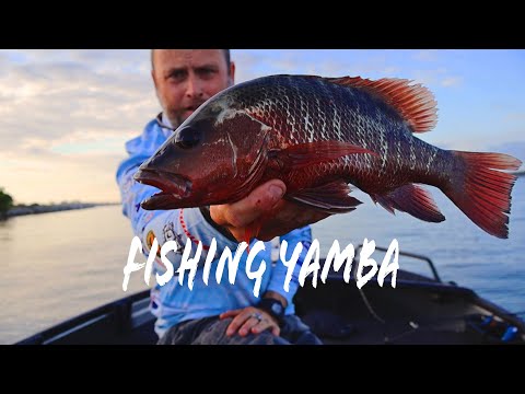 Fishing Yamba