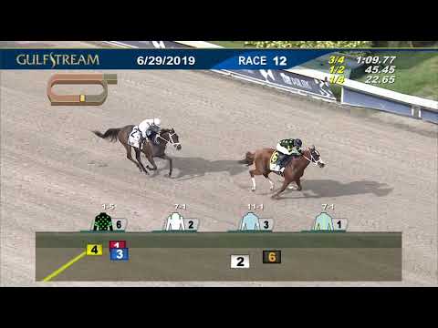 2019 Princess Rooney - Stormy Embrace