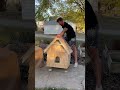 Interior Designer Couple Builds This Stray Cat A Home 😍 | The Dodo  #cat  #dodoanimals