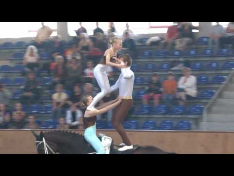 Auszug Kür Krumke I