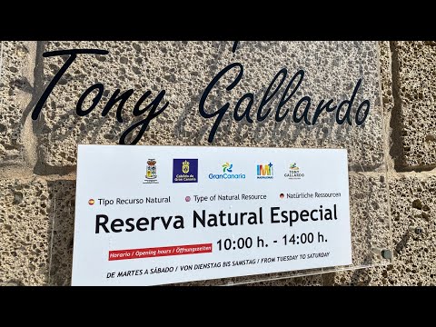 Out and about with Klaus 1.6.21 Parque Tony Gallardo in Maspalomas ...an oasis of peace..