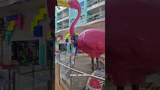 Icon of the Seas Cruise Tour #royalcaribbean #iconoftheseas #cruiseship #cruisetour #travelagent