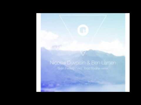 Nicolas Duvoisin, Ben Larsen - Brain Feeling (Todd Bodine Remix)