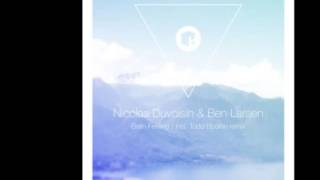 Nicolas Duvoisin, Ben Larsen - Brain Feeling (Todd Bodine Remix)