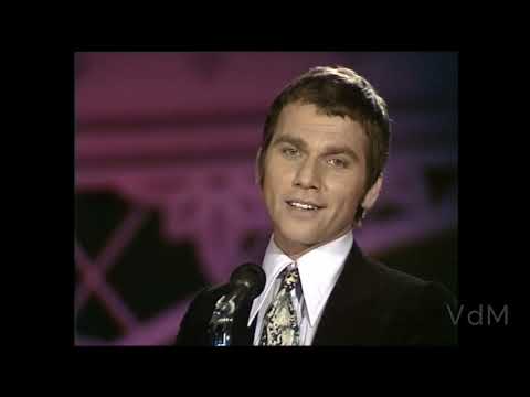 Willem Nijholt - Een simpel liedje