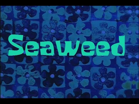 SpongeBob Production Music Seaweed