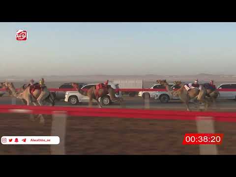 ش 6 (الشيابي) لـ مفتاح علي محمد النعيمي 2:09 , شارة الصندوق 2026/06/06 فطامين الروضة   