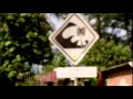 METRO TV 360 10 TAHUN TSUNAMI MITIGASI BENCANA