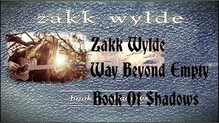 Zakk Wylde - Way Beyond Empty (Lyrics)